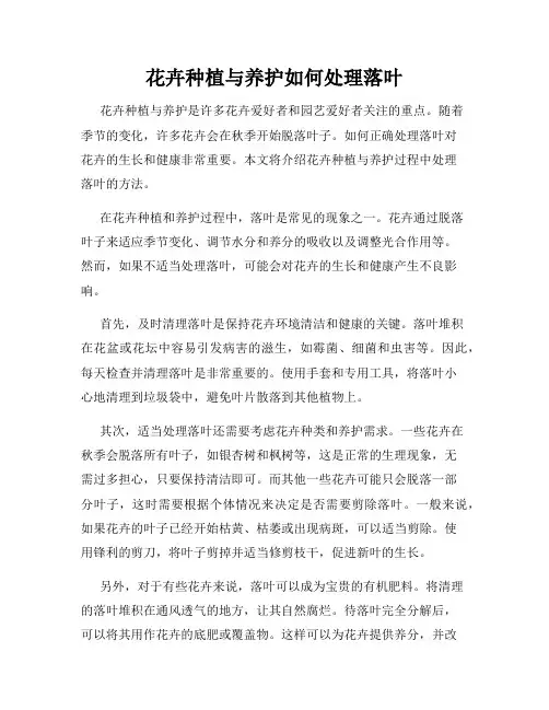 花卉种植与养护如何处理落叶