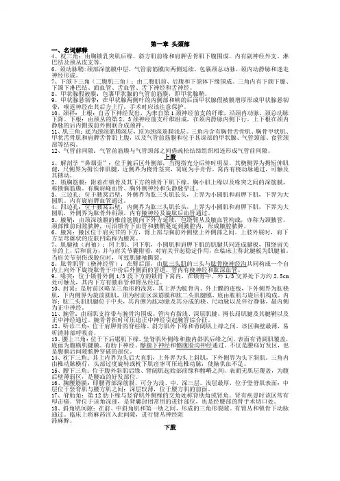 苏州大学局部解剖学(名词解释)