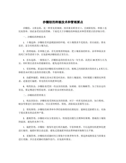 沙糖桔的种植技术和管理要点