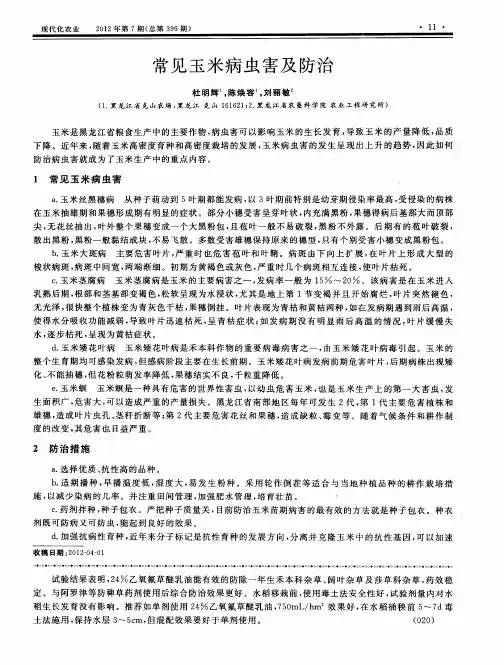 常见玉米病虫害及防治
