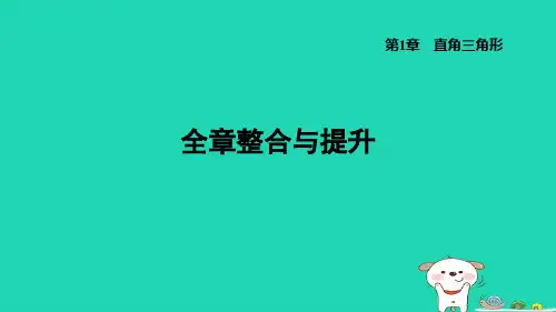 八下第1章直角三角形全章整合与提升习题新版湘教版