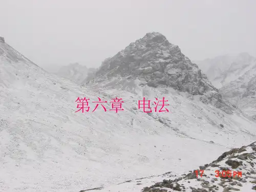 电法