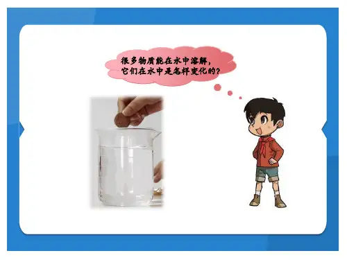大象版科学三年级上册《不一样的溶解》课件