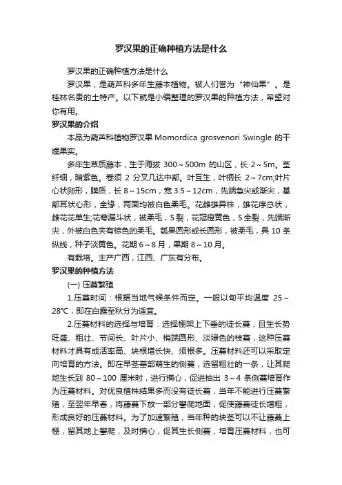 罗汉果的正确种植方法是什么
