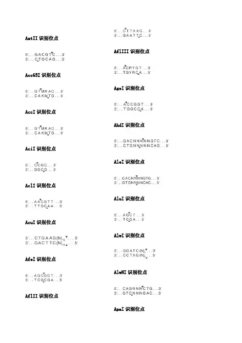 常见分子实验限制性内切酶酶切位点大全