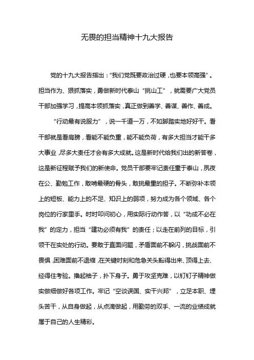 无畏的担当精神十九大报告