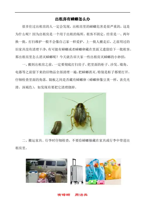 出租房如何真正去除蟑螂 出租房灭蟑螂小妙招