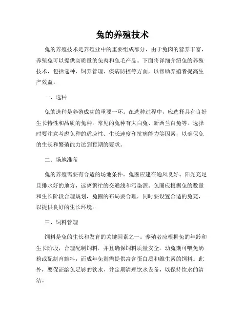 兔的养殖技术