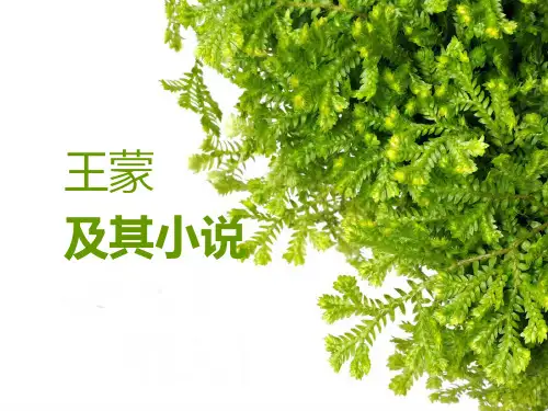 王蒙及其小说