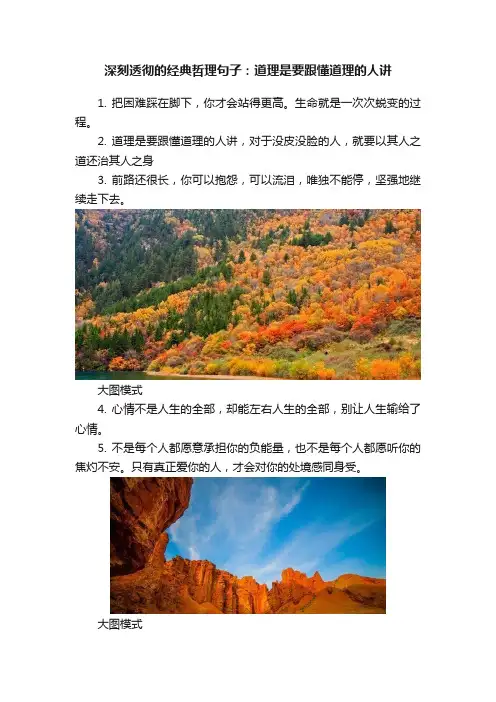 深刻透彻的经典哲理句子：道理是要跟懂道理的人讲