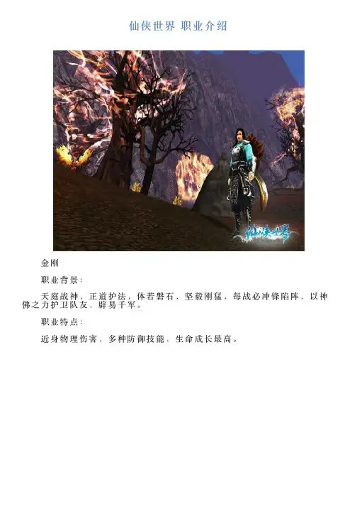 仙侠世界职业介绍