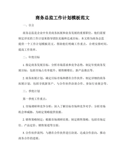 商务总监工作计划模板范文