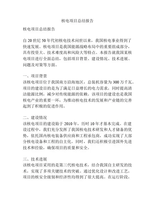 核电项目总结报告