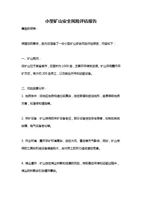小型矿山安全风险评估报告