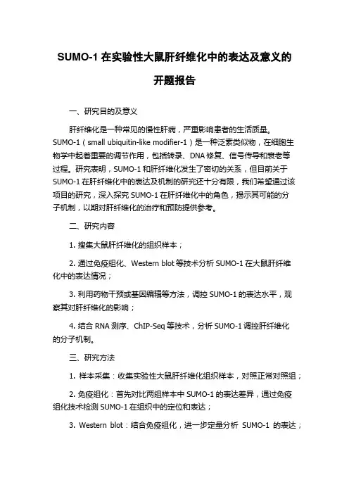 SUMO-1在实验性大鼠肝纤维化中的表达及意义的开题报告