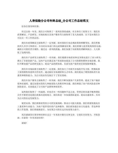 人寿保险分公司年终总结_分公司工作总结范文