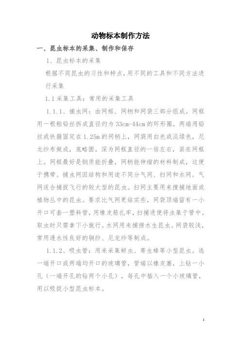 动物标本制作方法