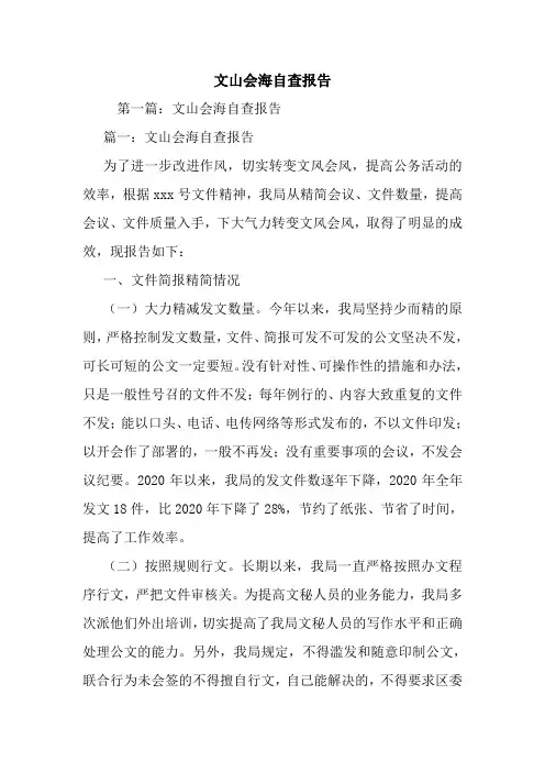 最新文山会海自查报告