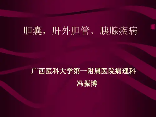 胆囊胰腺疾病 医学技术PPT