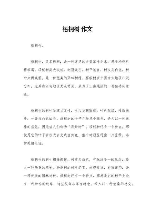 梧桐树 作文