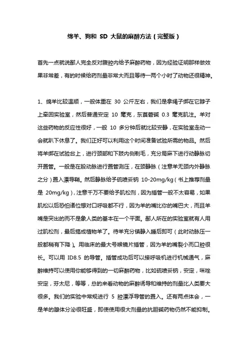 绵羊、狗和 SD 大鼠的麻醉方法(完整版)