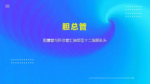 胆总管    