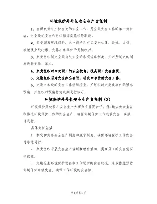 环境保护处处长安全生产责任制（5篇）