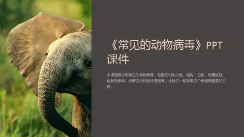 《常见的动物病毒》课件