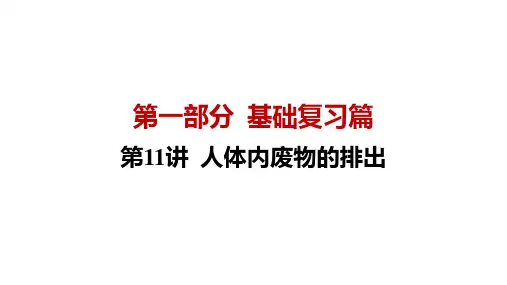 生物八中考基础复习第11讲 人体内废物的排出