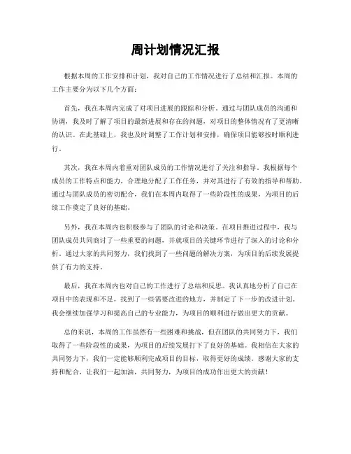 周计划情况汇报