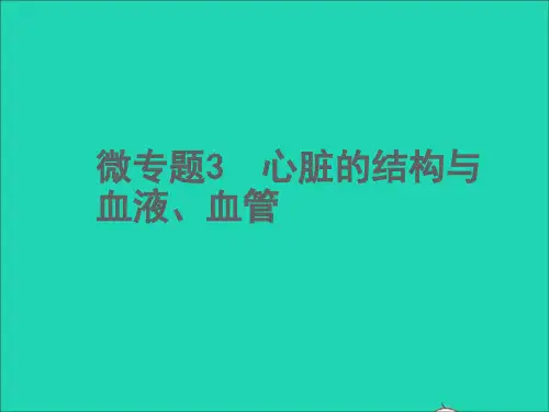 中考生物微专题3心脏的结构与血液血管课件