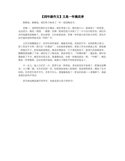 【四年级作文】又是一年槐花香