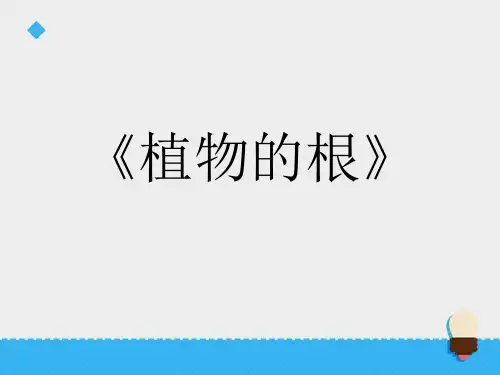 青岛版科学四年级上册《植物的根》课件