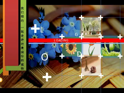 植物观察日记ppt课件
