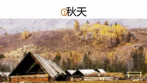 人教版一年级语文上册《秋天》课件
