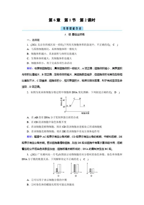 人教版高中生物必修第一册第6章第1节、第2课时动物细胞的有丝分裂与观察根尖分生区组织细胞的有丝分裂