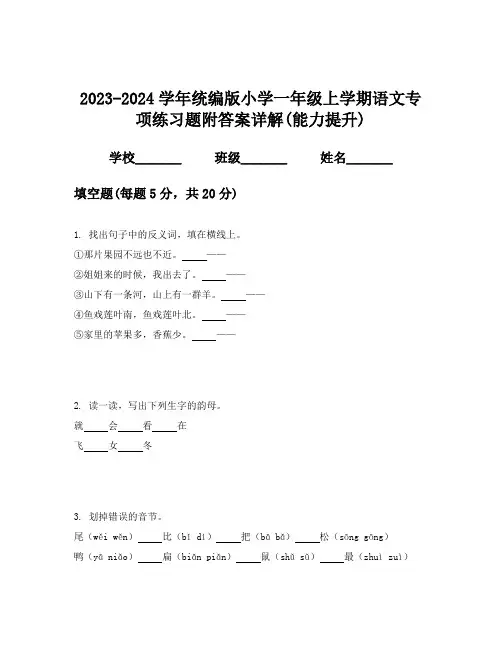 2023-2024学年统编版小学一年级上学期语文专项练习题附答案详解(能力提升)