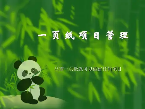 一页纸项目管理 oppm one page project management