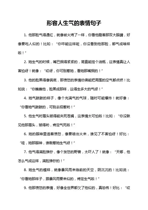 形容人生气的表情句子