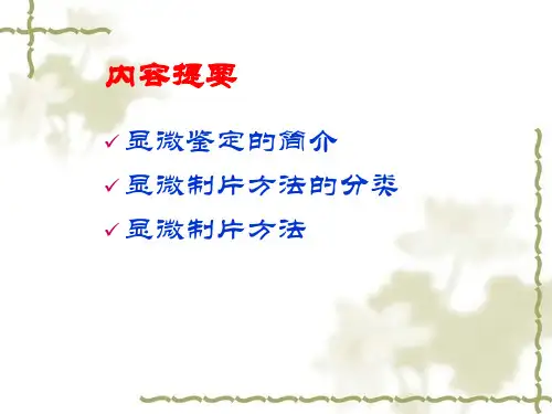 中药显微鉴定_PPT幻灯片