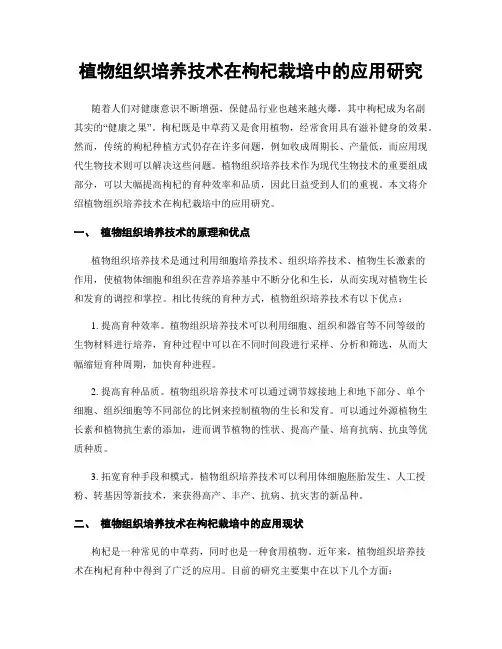 植物组织培养技术在枸杞栽培中的应用研究
