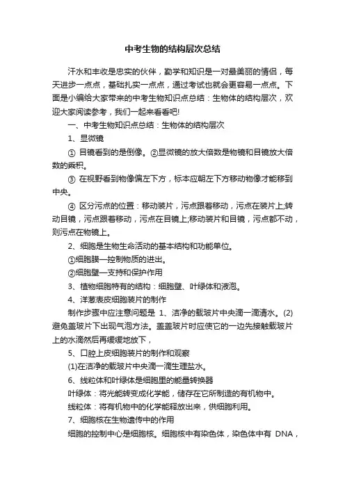 中考生物的结构层次总结