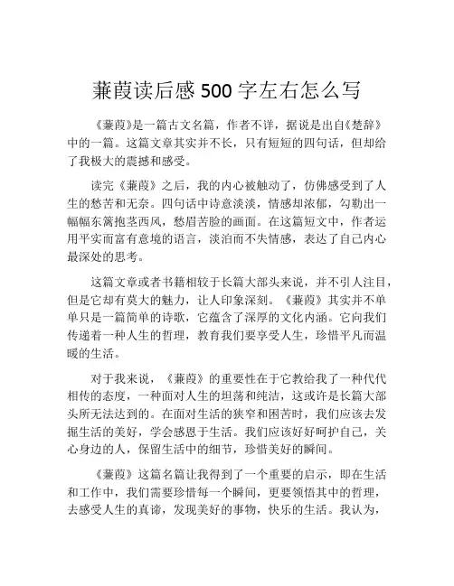 蒹葭读后感500字左右怎么写
