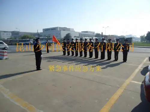 应急方案