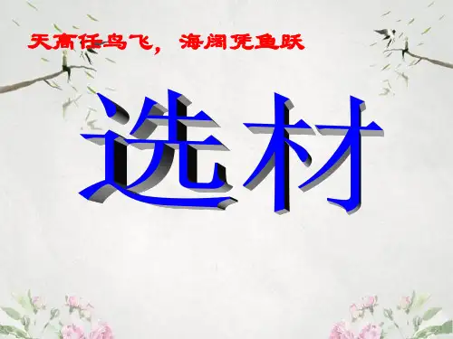 作文-初中作文指导：选材ppt优秀PPT
