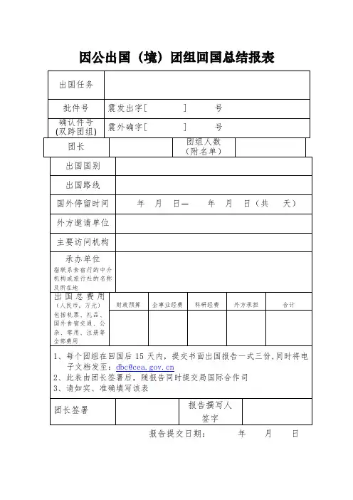 因公出国(境)团组回国总结报表