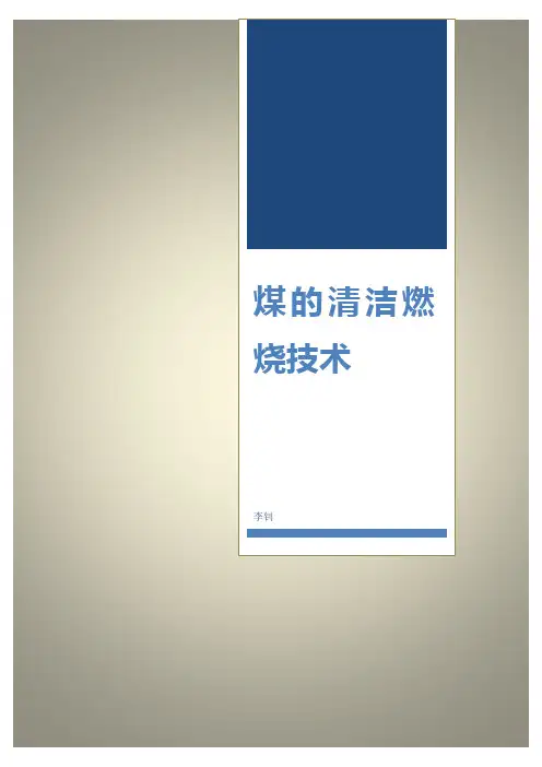 煤的清洁燃烧技术