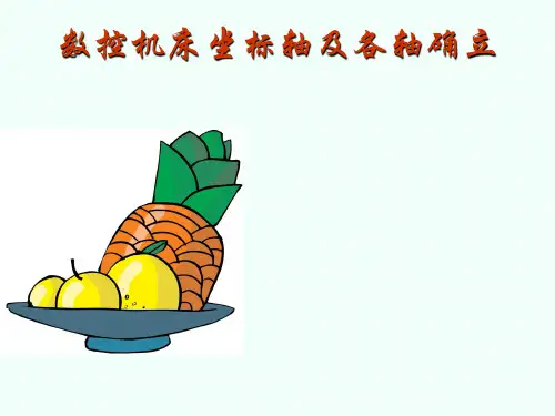 数控机床的坐标轴及各轴确立
