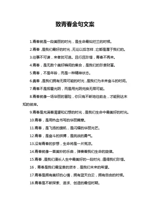 致青春金句文案
