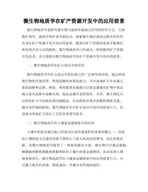 微生物地质学在矿产资源开发中的应用前景